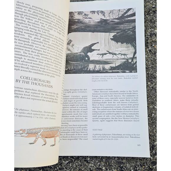 Dinosaurs a Global View by Sylvia and Stephen Czerkas 1996 Hardcover Book - Picture 6 of 7